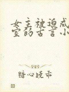 女主被迫成为妾室的古言小说封面