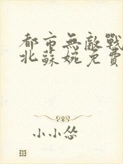 都市无敌战神林北苏婉免费完整版封面