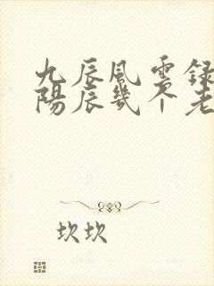 九辰风云录男主阳辰几个老婆