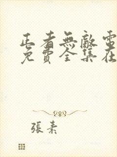 正者无敌电视剧免费全集在线观看封面