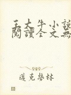 王大牛小说免费阅读全文无弹窗