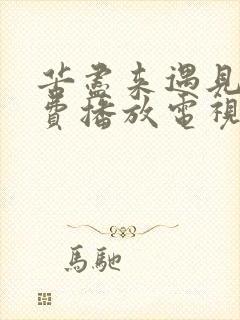 苦尽来遇见你免费播放电视剧