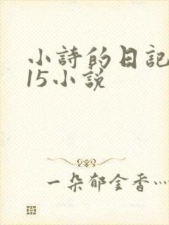 小诗的日记1一15小说