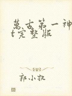 万古第一神txt完整版封面