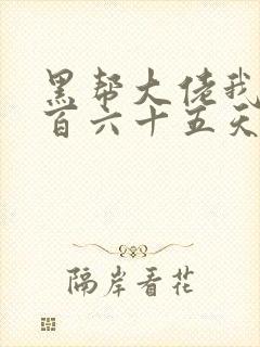 黑帮大佬我的三百六十五天第二季封面