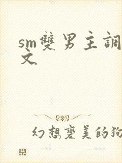 sm双男主调教文