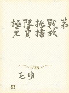 极限挑战第4季免费播放