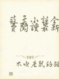 苏柔小说全文免费阅读最新章节下载