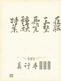 特种兵王在山村叶秋完整版封面