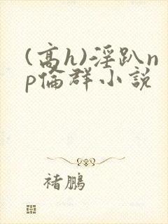 (高h)淫趴np伦群小说