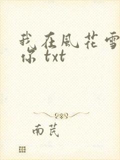 我在风花雪月等你 txt