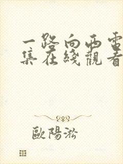 一路向西电影全集在线观看封面