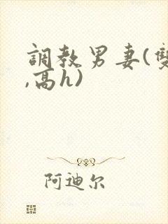 调教男妻(双性,高h)