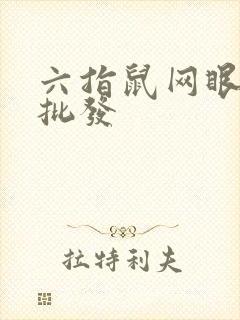 六指鼠网眼童袜批发封面