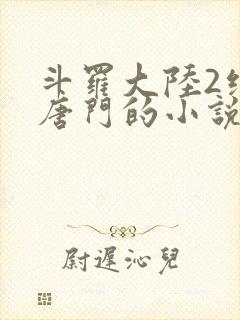 斗罗大陆2绝世唐门的小说