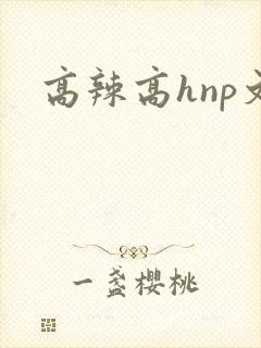 高辣高hnp文