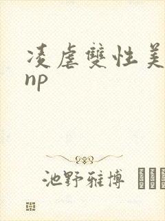 凌虐双性美人受np