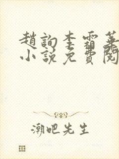 赵询李霜华宸妃小说免费阅读