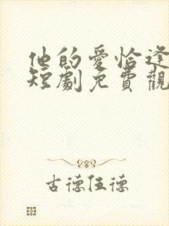 他的爱恰逢其时短剧免费观看全集封面