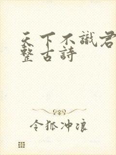 天下不识君的完整古诗