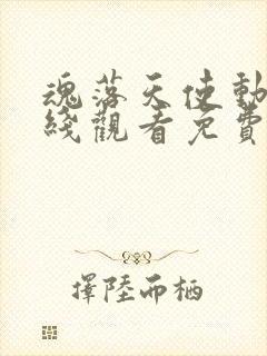 魂落天使动漫在线观看免费播放中文