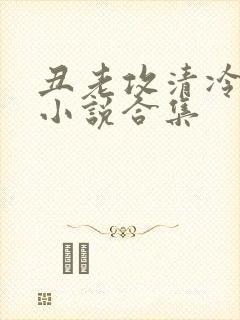 丑老攻清冷美人小说合集