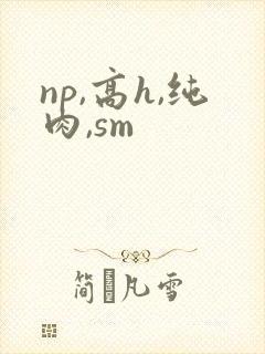 np,高h,纯肉,sm