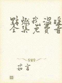 点燃我温暖你在全集免费看电视剧