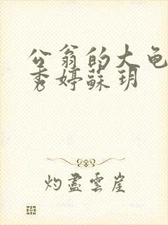 公翁的大龟挺进秀婷苏玥封面