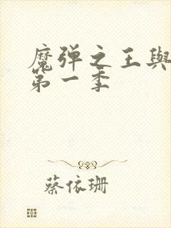 魔弹之王与战姬第一季封面