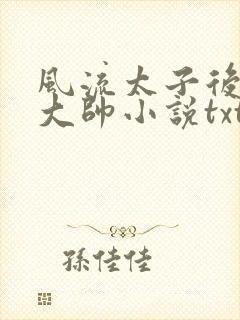 风流太子后宫萧大帅小说txt