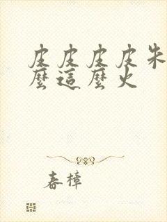 皮皮皮皮朱为什么这么火