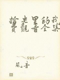 拾光里的我们免费观看全集电视剧封面