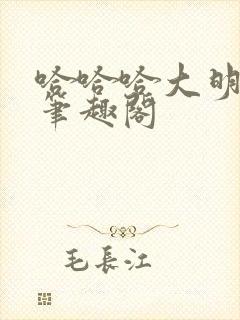 哈哈哈大明小说笔趣阁