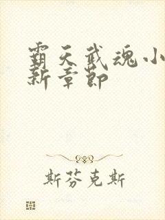 霸天武魂小说最新章节