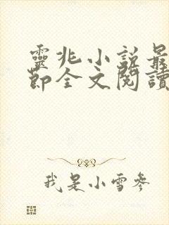 灵兆小说最新章节全文阅读封面