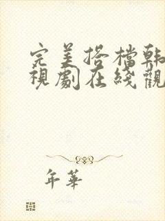 完美搭档韩剧电视剧在线观看