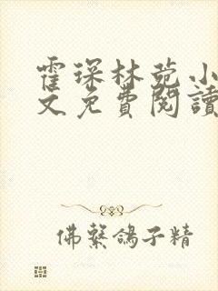 霍琛林菀小说全文免费阅读