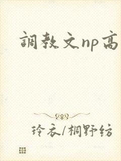 调教文np高h