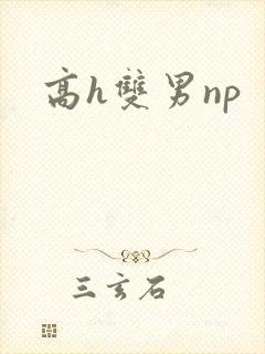 高h双男np