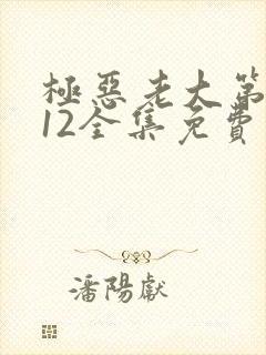 极恶老大第二季12全集免费观看