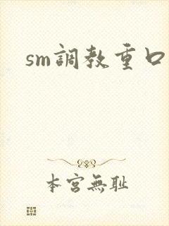 sm调教重口文封面
