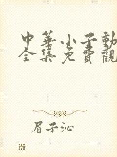 中华小子动画片全集免费观看封面