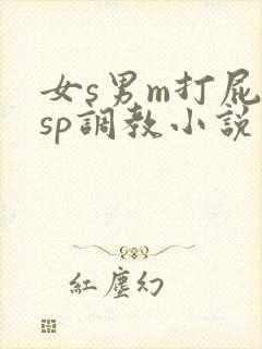 女s男m打屁股sp调教小说封面