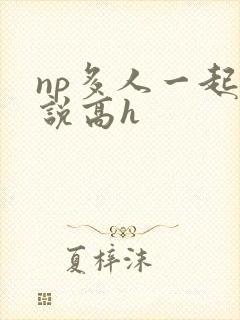 np多人一起小说高h