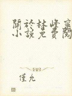 关于林峰宁欣的小说免费阅读