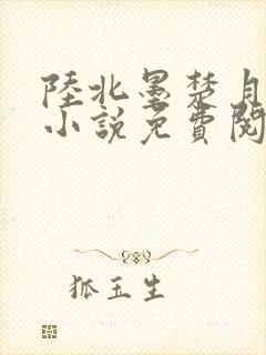 陆北墨楚月离的小说免费阅读无弹窗封面