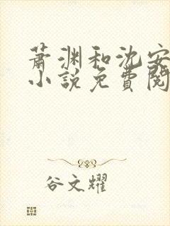 萧渊和沈安安的小说免费阅读