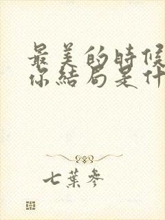 最美的时候遇见你结局是什么