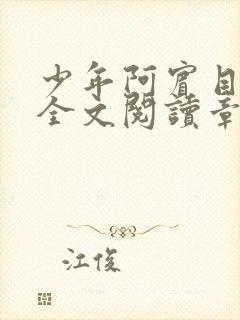 少年阿宾目录及全文阅读章节